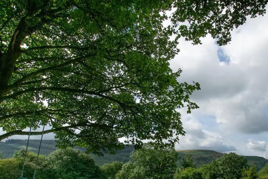 Grounds of Hafod Ganol Farm