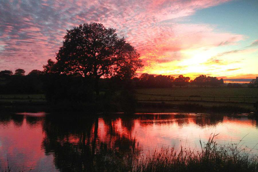 Tri Nant Fishery