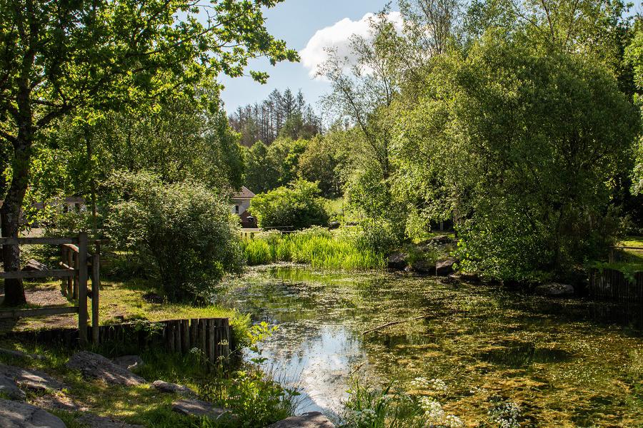 Enjoy the great outdoors