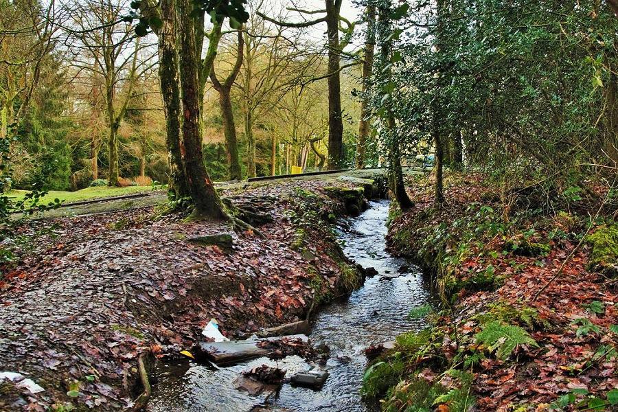 Bronwydd Park