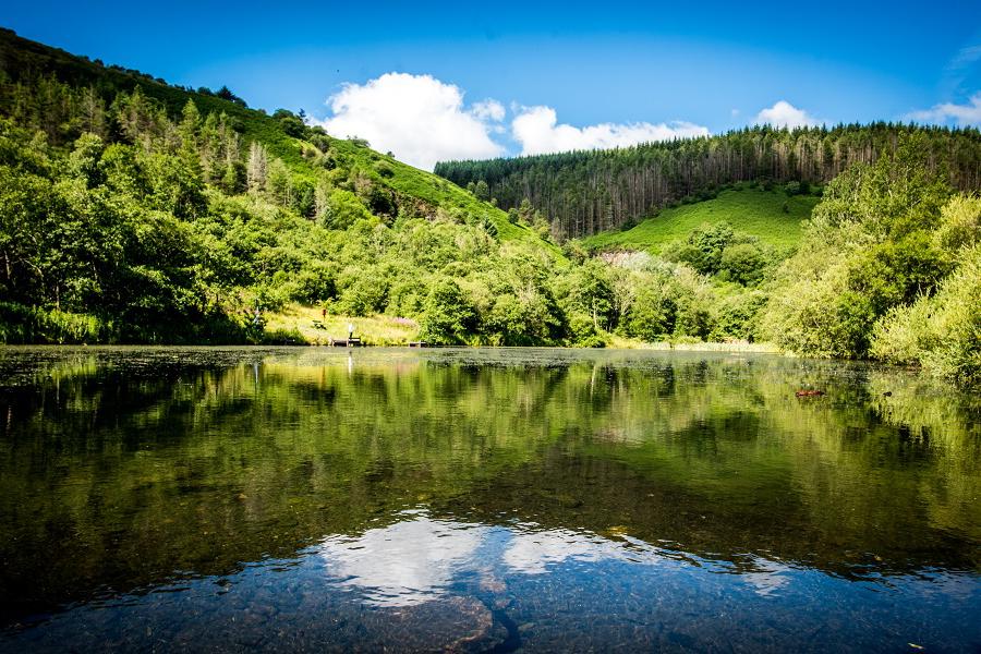 Nature lovers' paradise at Cwm Clydach Countryside Park