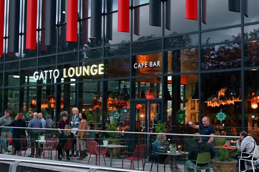Gatto Lounge