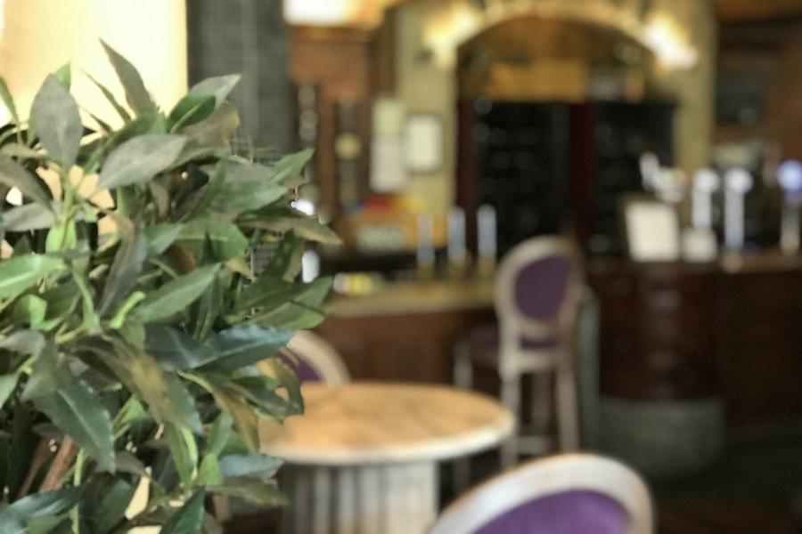 Relaxing surroundings at the Blueberry Inn