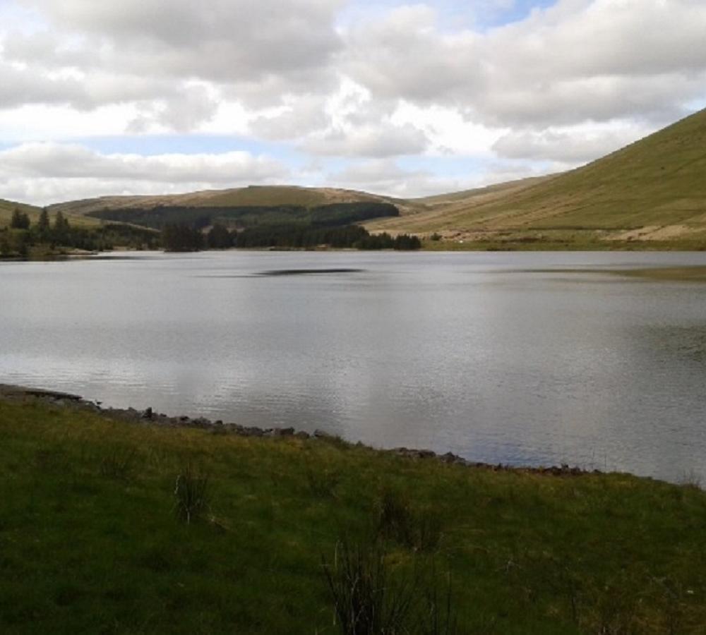 Ospreys Fly Fishers' Association