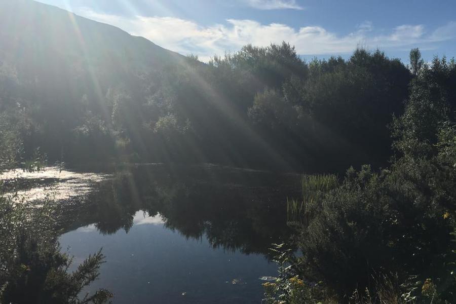 Pond at Ty'n y Bedw Forest