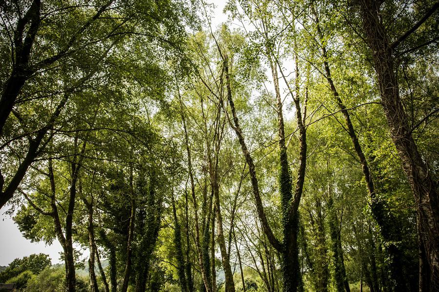 Pontypridd Heritage Walk